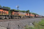 BNSF 5160 Roster shot